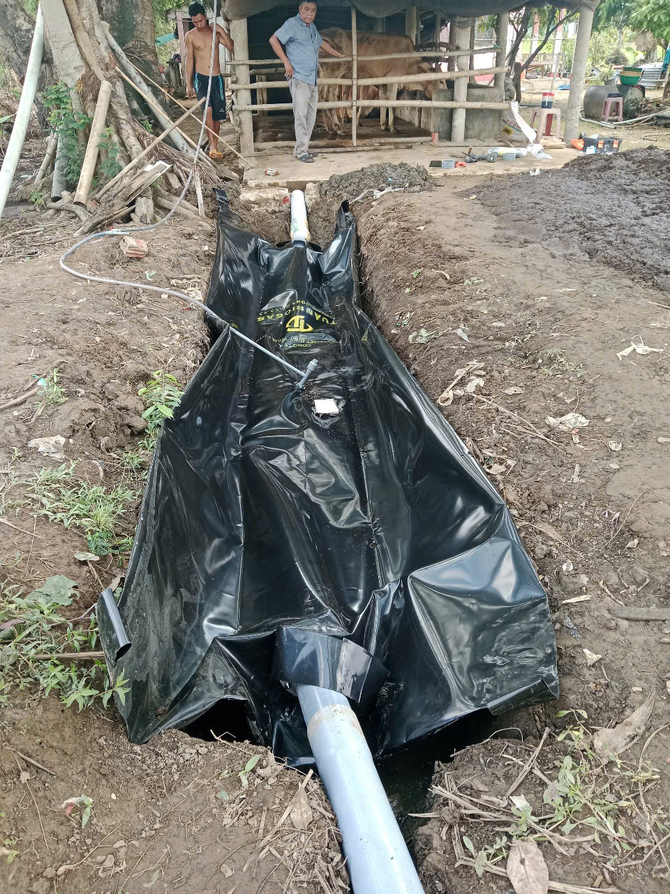 huong-dan-trai-bat-tui-biogas-hdpe-xuong-ho-dao-chuan-ky-thuat