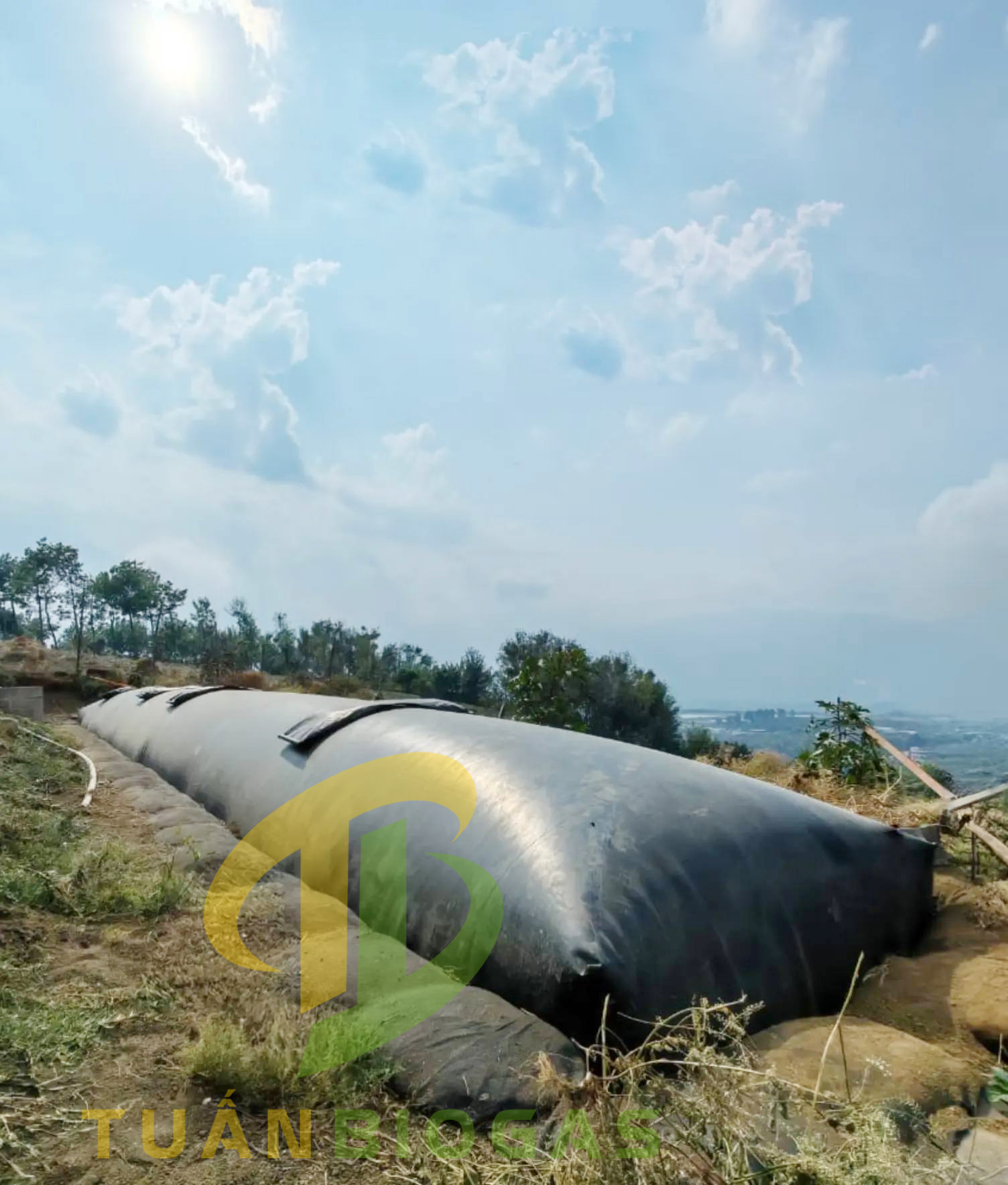 tui-biogas-vuong-tuan-biogas-giai-phap-xu-ly-chat-thai-chan-nuoi-toan-dien
