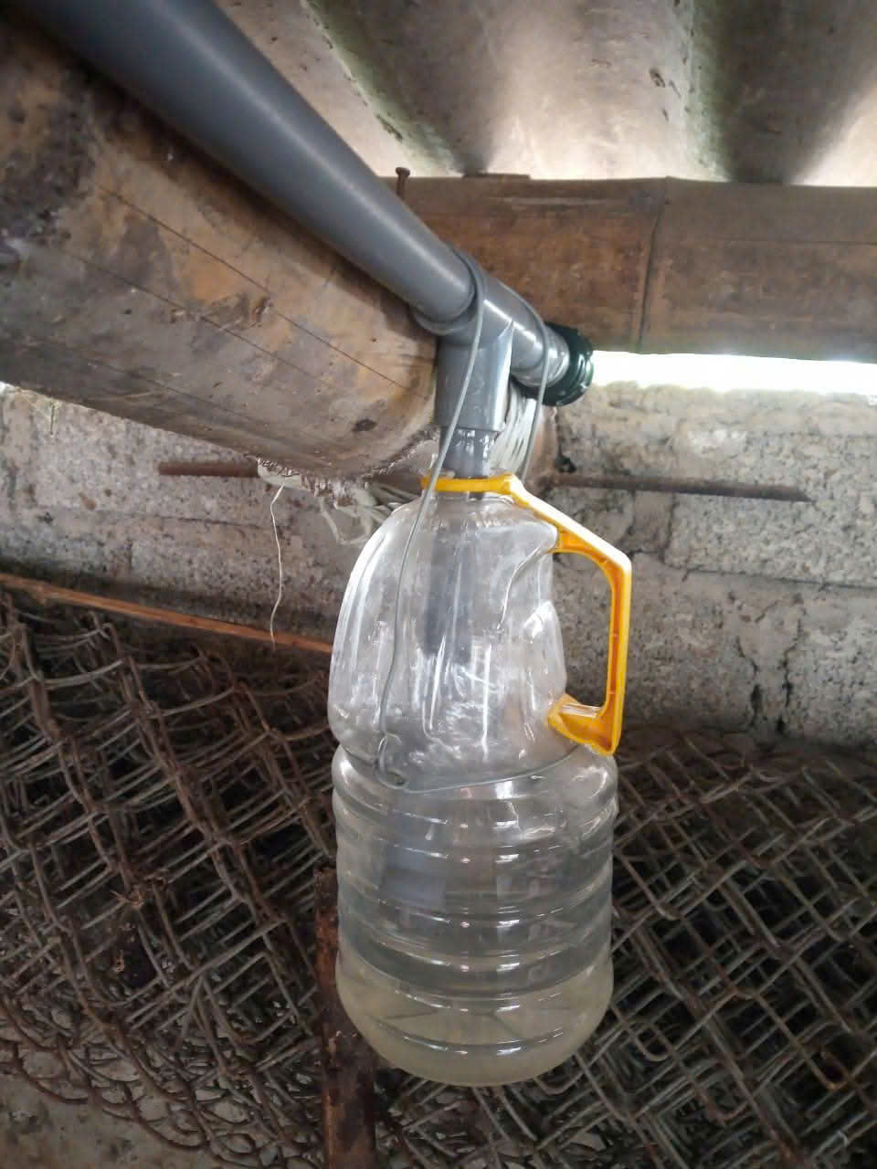 van-dieu-ap-truyen-thong