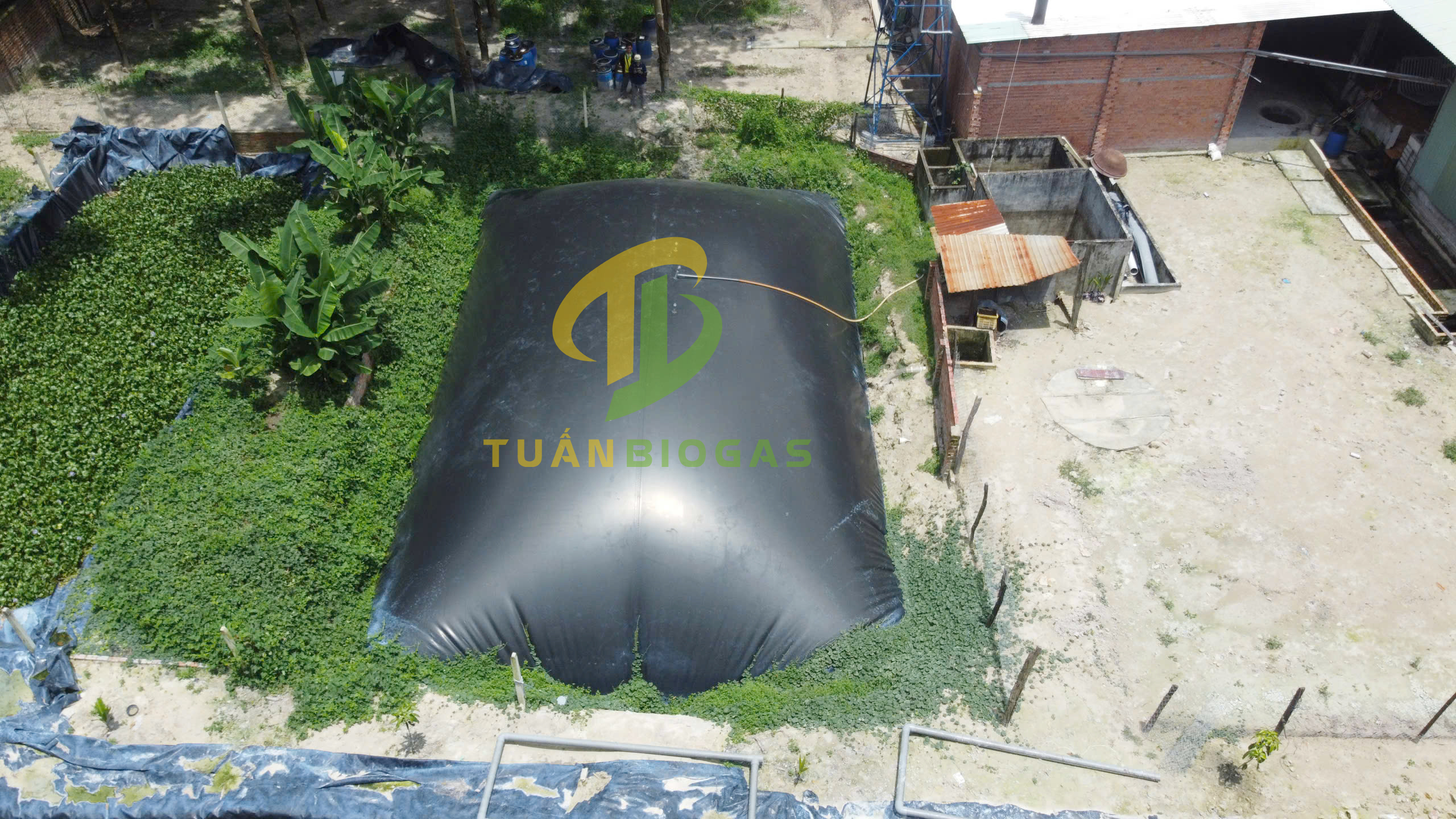 he-thong-tui-biogas-trang-trai-quy-mo-lon-tuan-biogas