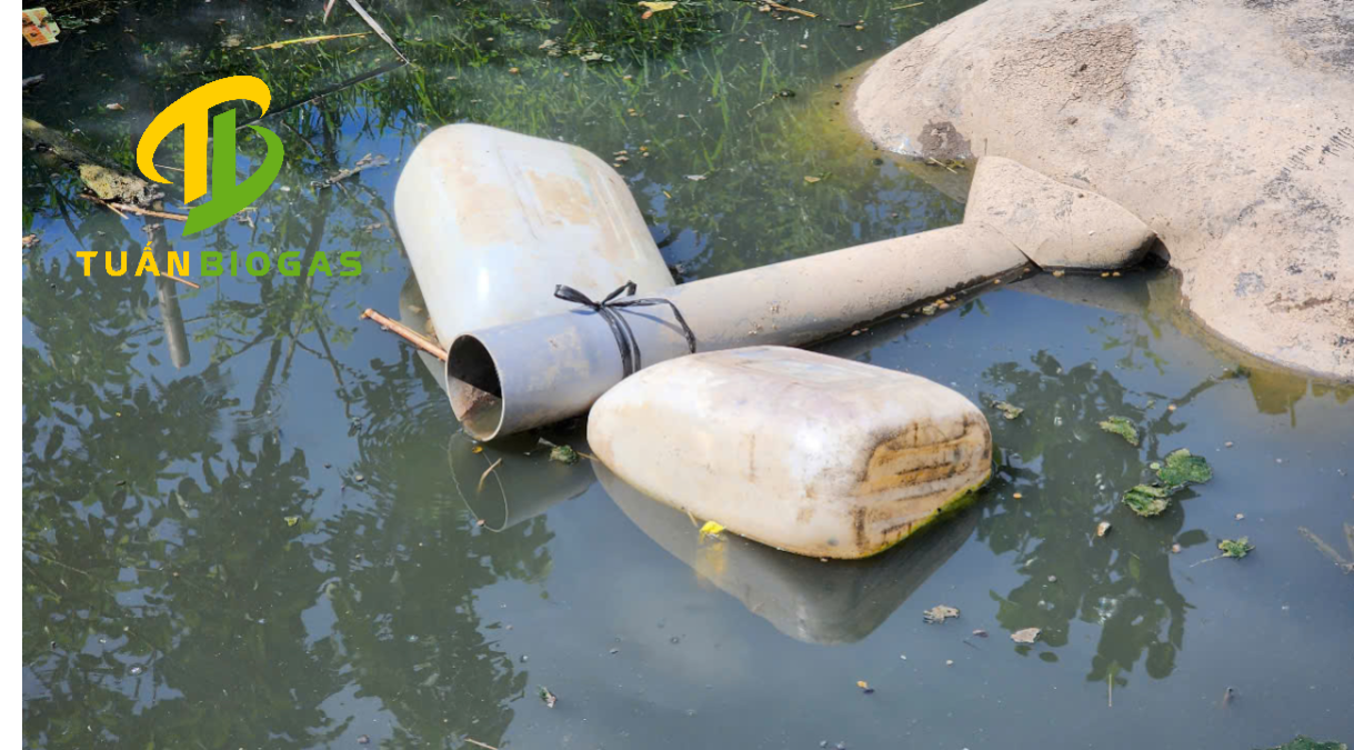  ba-thai-tui-biogas-vang-den-long-trong-chan-nuoi