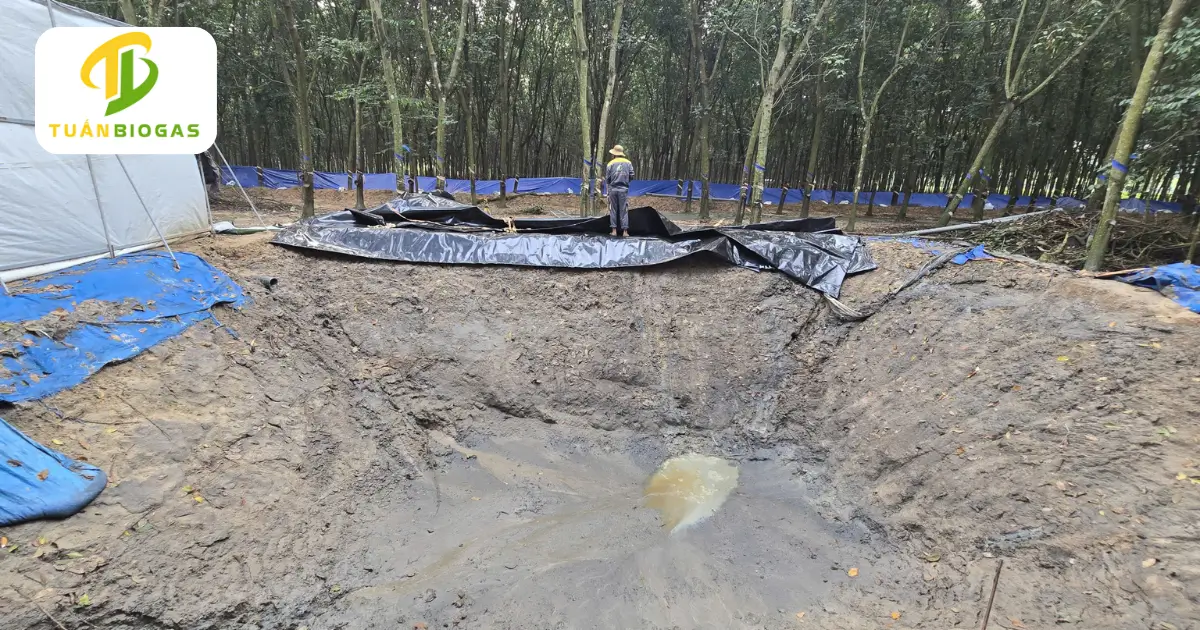 Công nhân lăn kiện túi biogas tròn dọc theo bờ hố đất và căn chỉnh trục tim