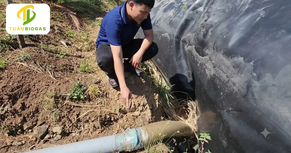 Đấu nối ống cứng 140 từ hố gom qua ống ruột gà dẫn thẳng vào mặt bích túi biogas