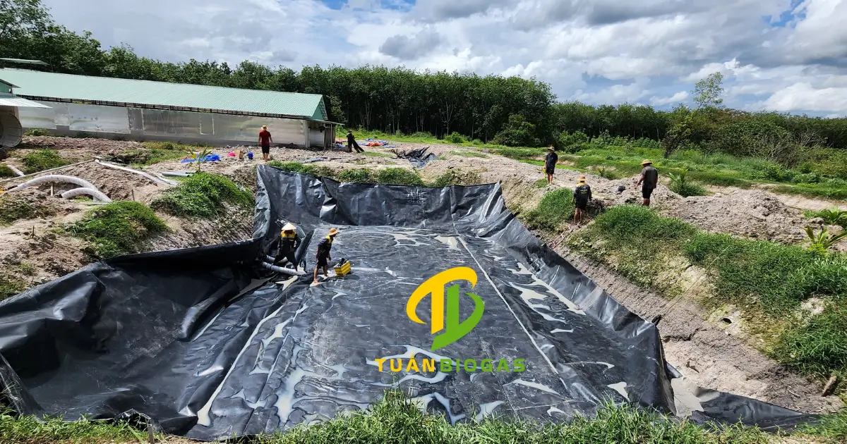 Kỹ thuật viên căn chỉnh mép túi biogas nằm cân đối giữa tim hố đào