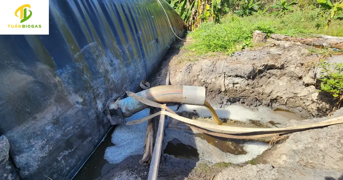 Đầu xả túi biogas được đặt ở cao độ chuẩn 60 đến 70cm so với đáy hố