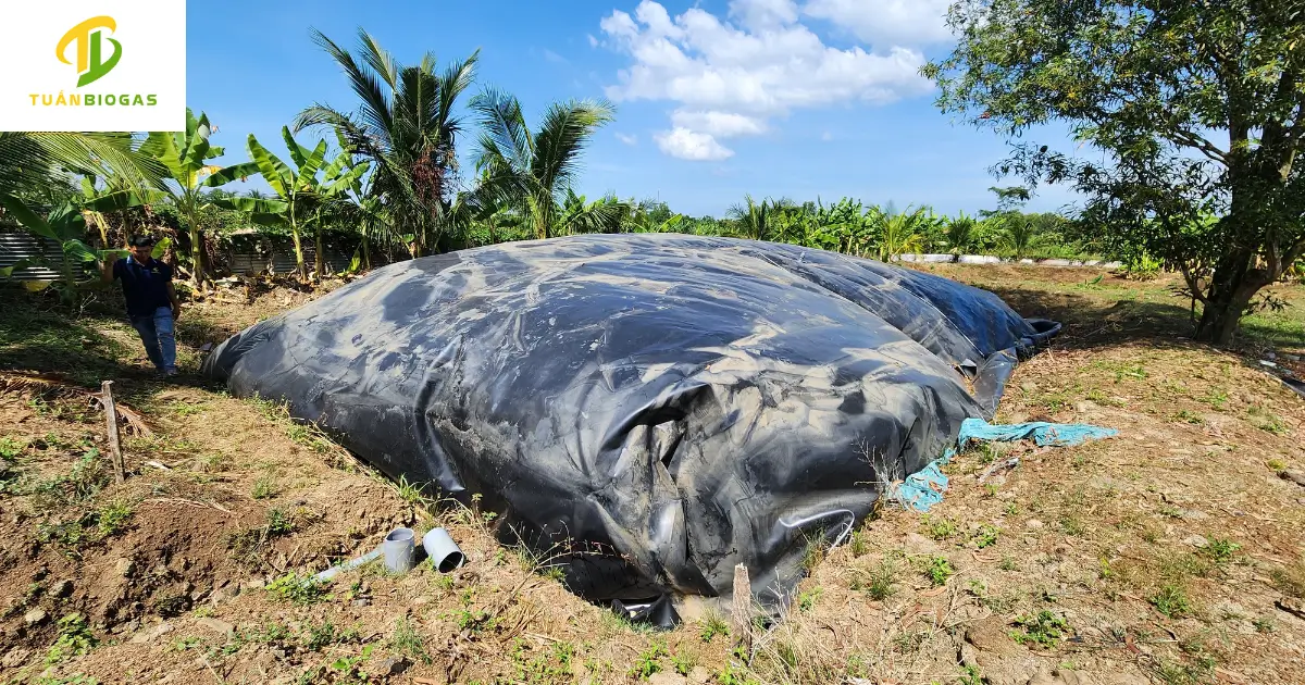 Bà con dùng bao tải đất chèn sát vào hai bên sườn túi biogas để tạo bệ đỡ