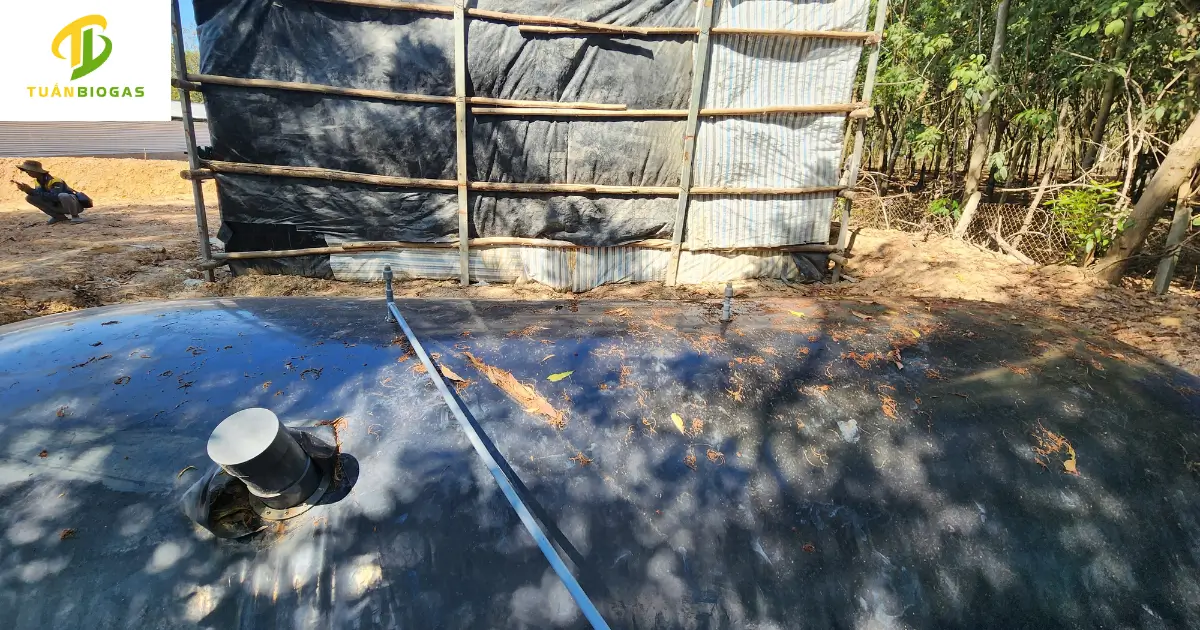 Kỹ thuật viên vẹn chặt cụm van tự xả inox 304 trên đỉnh túi biogas tròn 500 khối