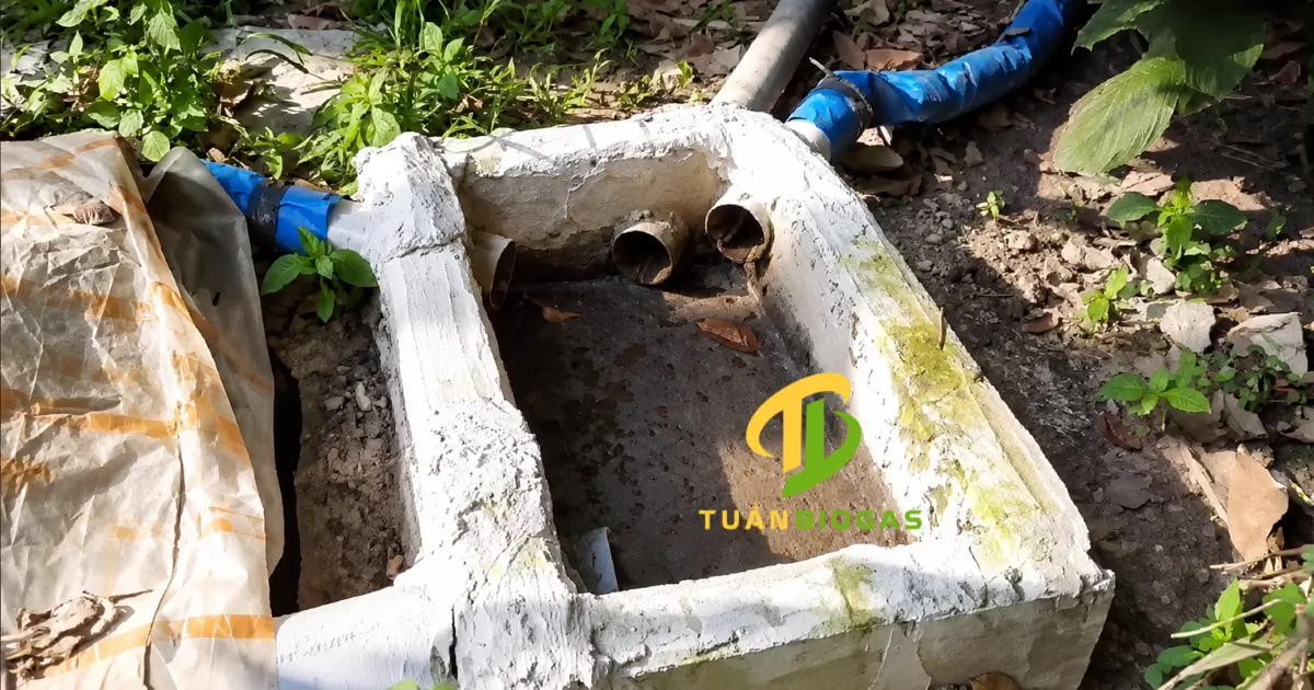 Hố lắng gom chất thải từ nhiều dãy chuồng trước khi dẫn vào túi biogas