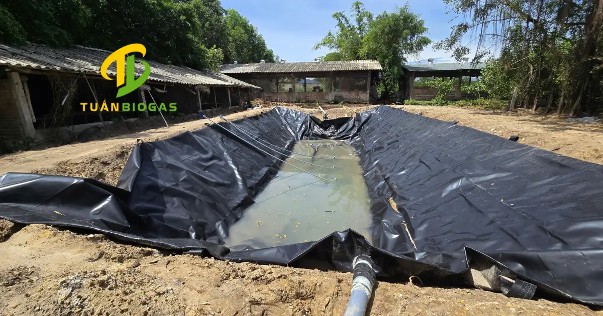 Kỹ thuật viên dọn dẹp đáy hố taluy sạch đá và rễ cây trước khi lắp túi biogas
