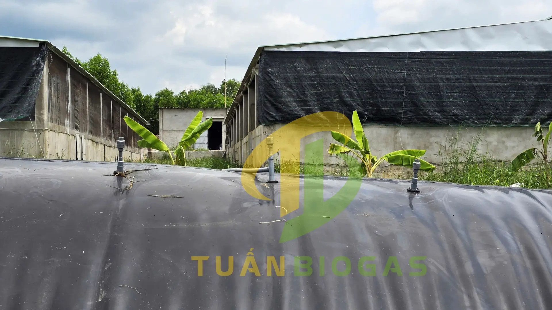 Lắp đặt chuỗi van tự xả inox 304 trên đỉnh vòm và kéo đường ống dẫn khí gas PVC phi 34