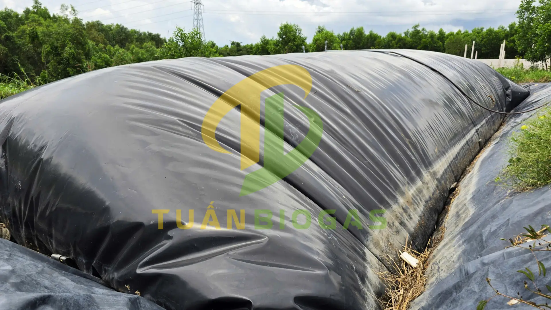 anh-huong-cua-nhiet-do-mua-dong-den-kha-nang-sinh-khi-tui-biogas