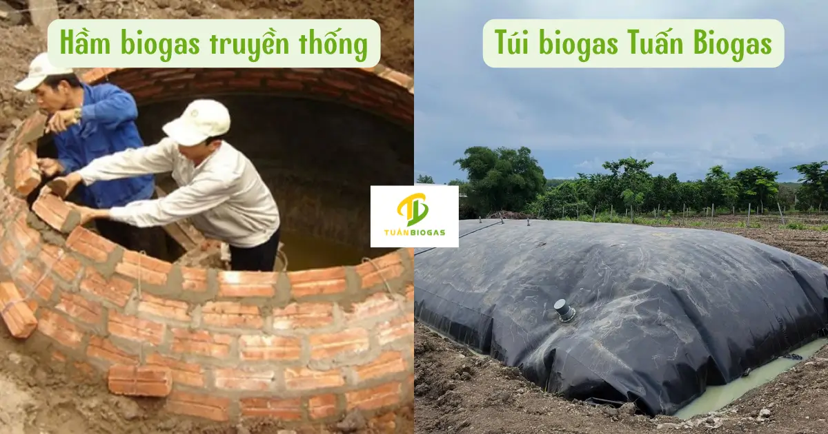 So sánh hầm biogas truyền thống lót đáy phủ mặt và túi biogas mềm dẻo
