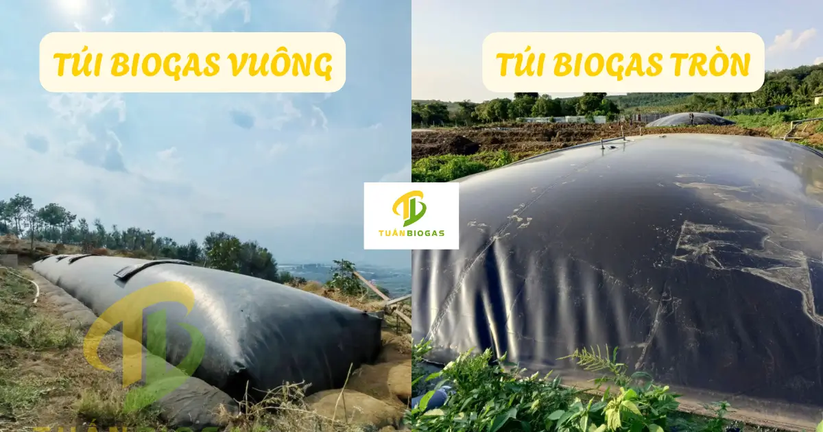 Mô hình thi công túi biogas vuông cho nông hộ và túi biogas tròn cho trang trại