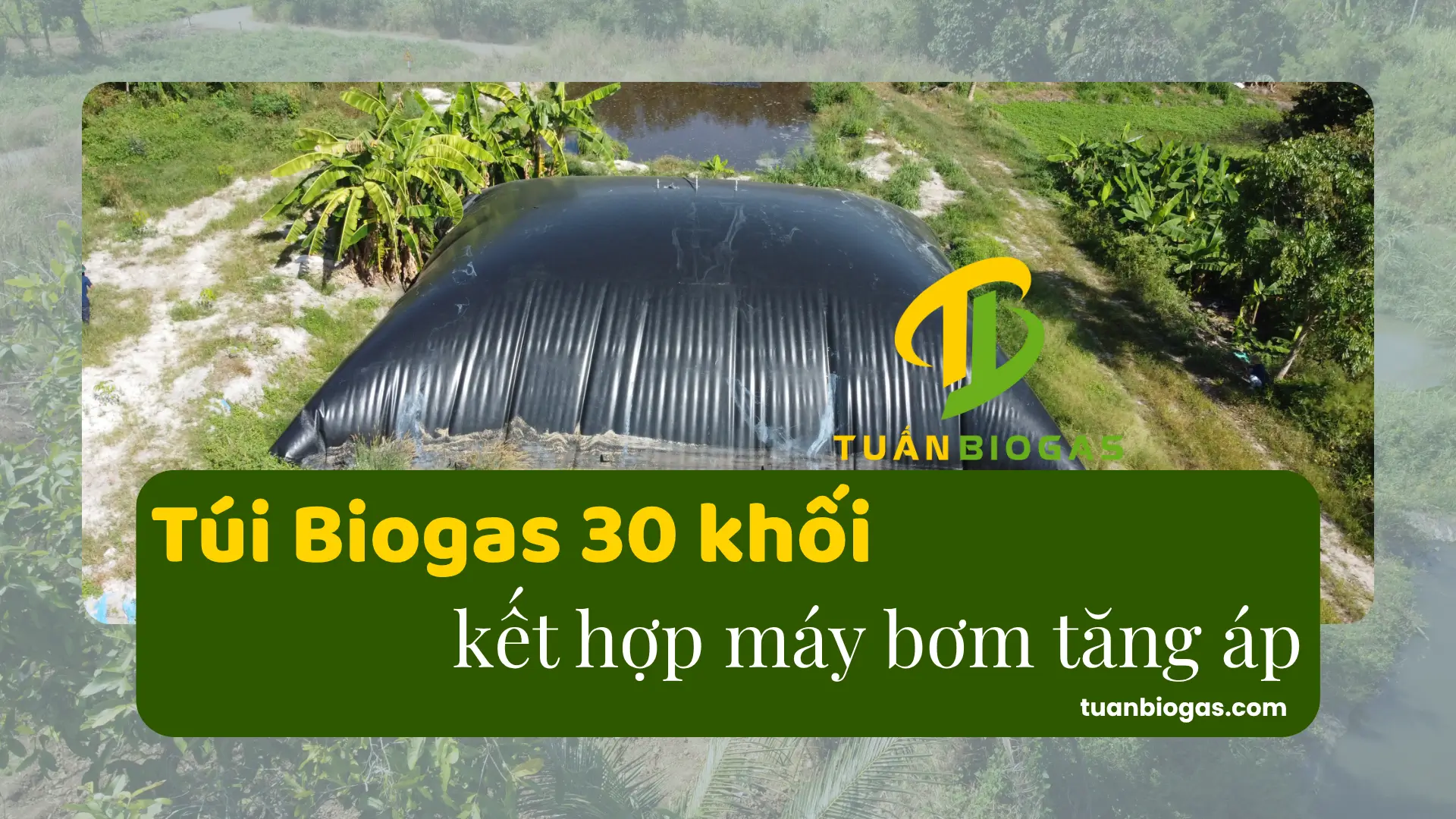 thumnail túi biogas 30 khối máy bơm tăng áp