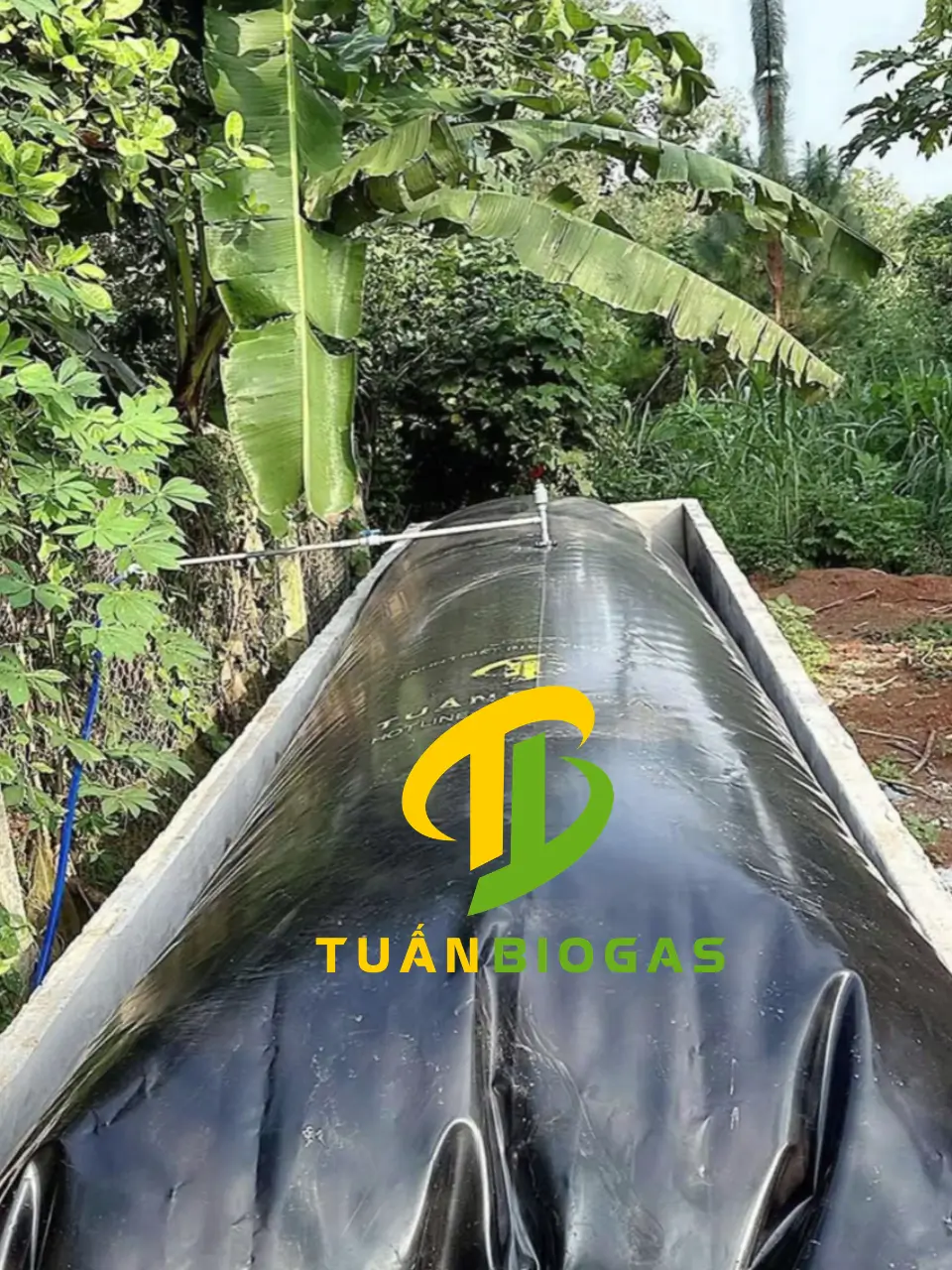 Đường ống dẫn khí biogas được lắp đặt thẳng, gác cao hơn mặt túi