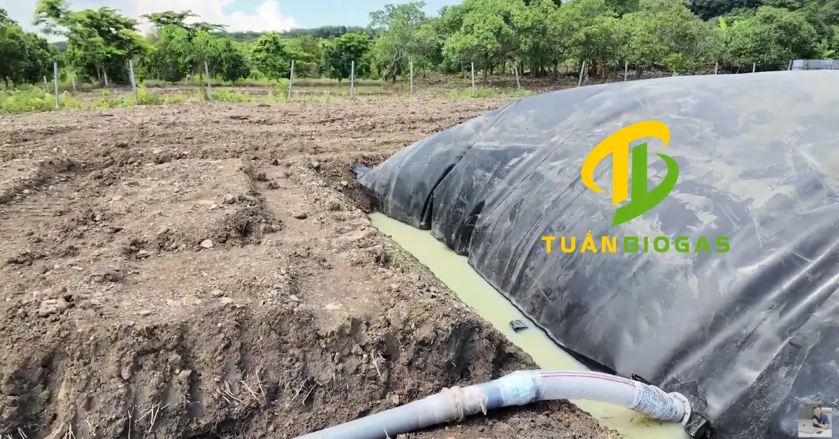 Mực nước ngầm dâng cao vào mùa mưa tại vùng đất thấp gây áp lực đẩy nổi túi biogas