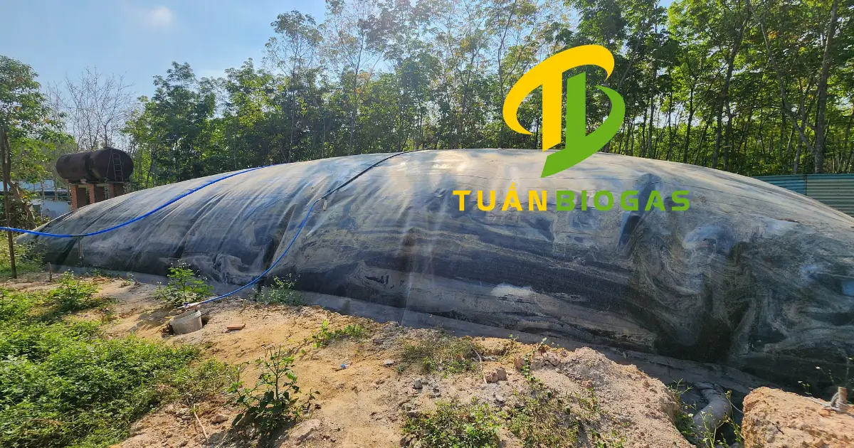 Kỹ thuật viên tính toán kích thước túi biogas dựa trên hố thực tế của khách hàng
