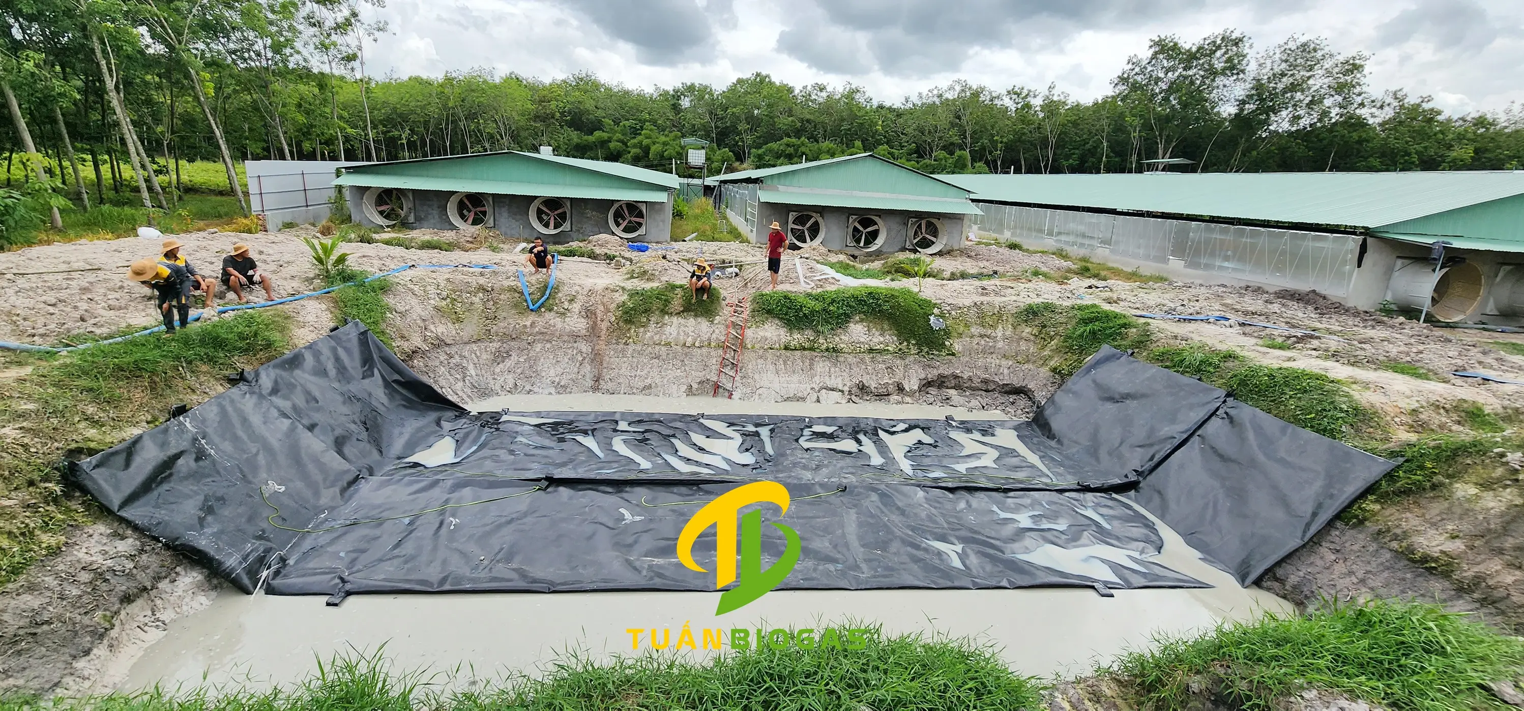 Đội ngũ kỹ thuật viên phối hợp định vị túi biogas dung tích lớn cho trang trại