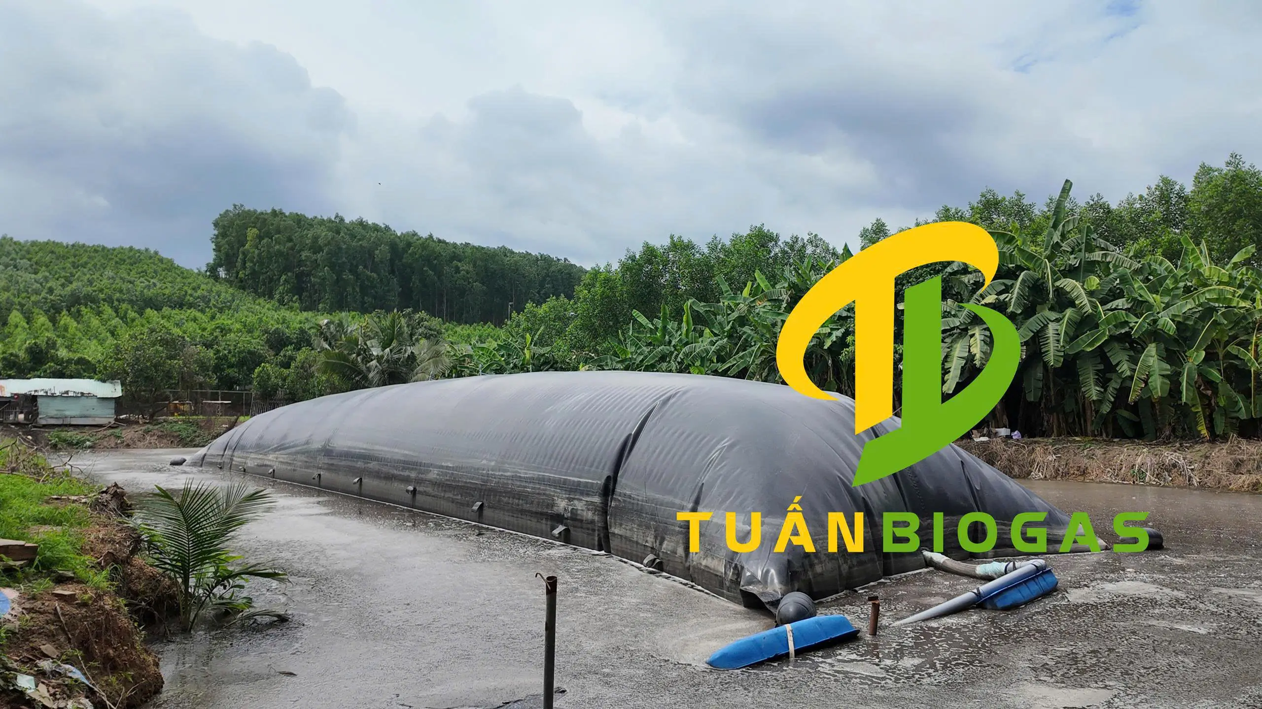 Kéo túi biogas đã đấu nối hoàn chỉnh từ trên bờ xuống mặt ao