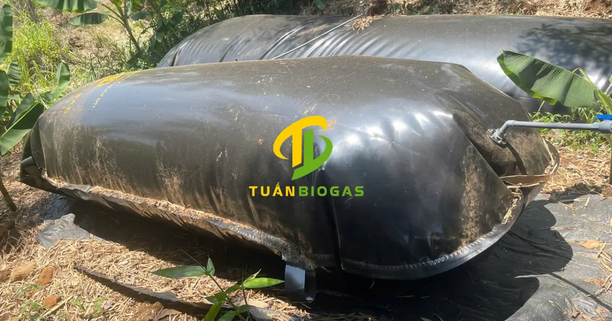 Hệ thống túi trữ khí biogas được đấu nối hoàn chỉnh cùng van điều áp
